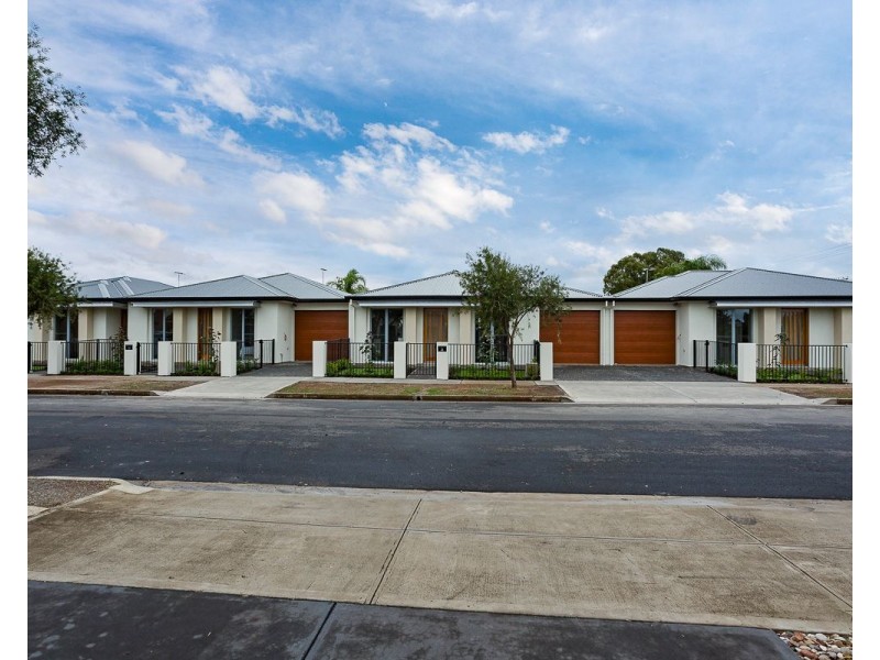 31 Rotorua Avenue, Park Holme SA 5043