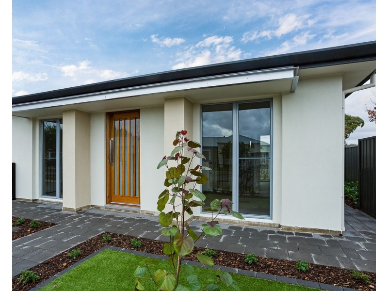 31 Rotorua Avenue, Park Holme SA 5043