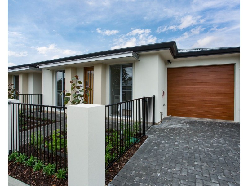 31 Rotorua Avenue, Park Holme SA 5043