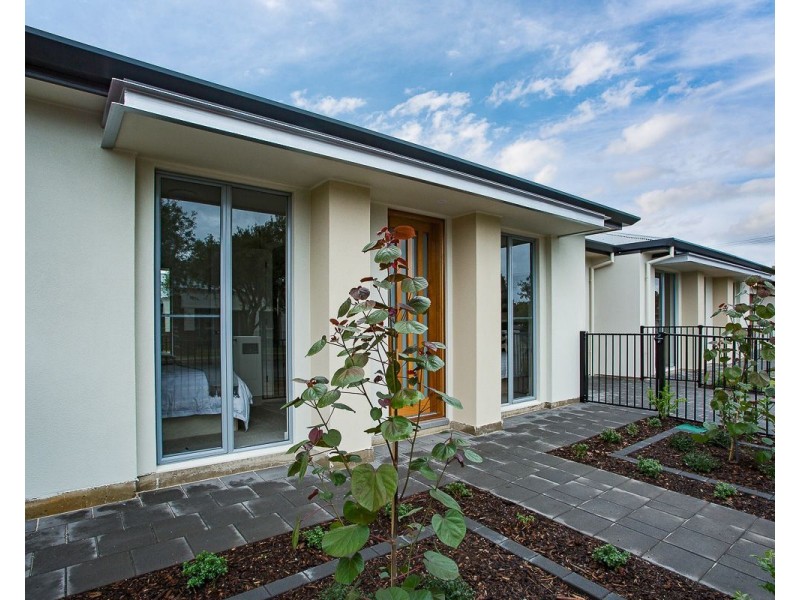 31 Rotorua Avenue, Park Holme SA 5043