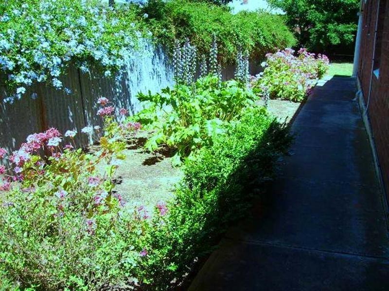 4a Sedgeford Road, Myrtle Bank SA 5064