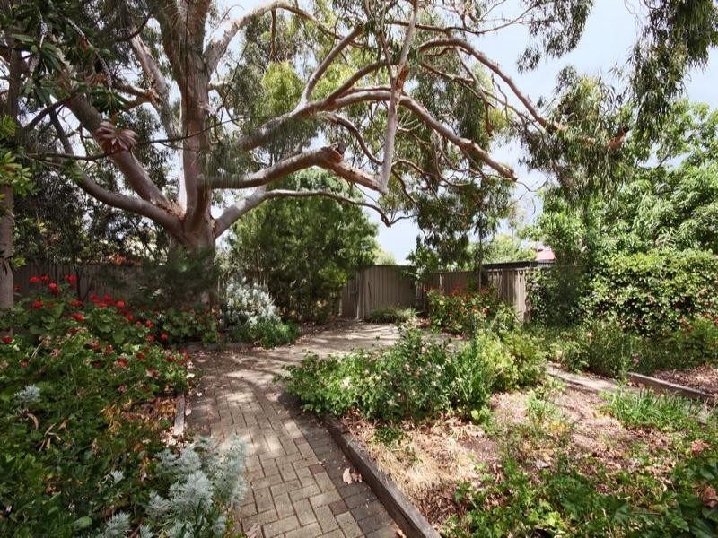 6 Burnley Grove, Mitchell Park SA 5043