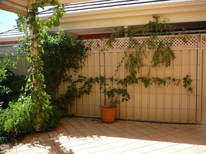 58 Marian Road, Payneham SA 5070