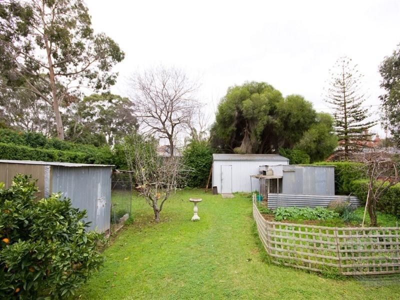 17 Emerson Grove, Tranmere SA 5073