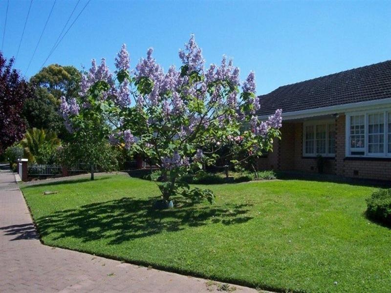 15 Richardson Avenue, Tranmere SA 5073