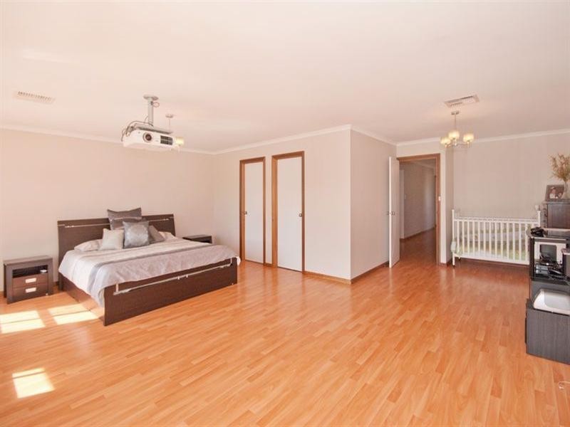 43 MacMillan Avenue, Mawson Lakes SA 5095