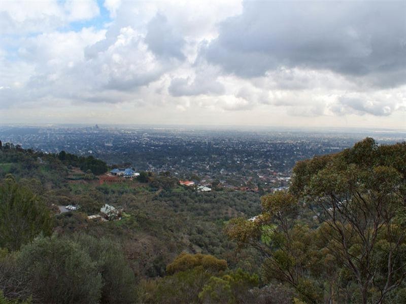 54 Knox Terrace, Skye SA 5072