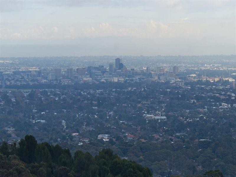 54 Knox Terrace, Skye SA 5072