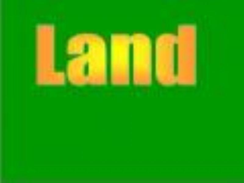 38 Nilpena Avenue, Park Holme SA 5043