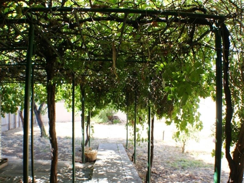 46 Milner Street, Prospect SA 5082