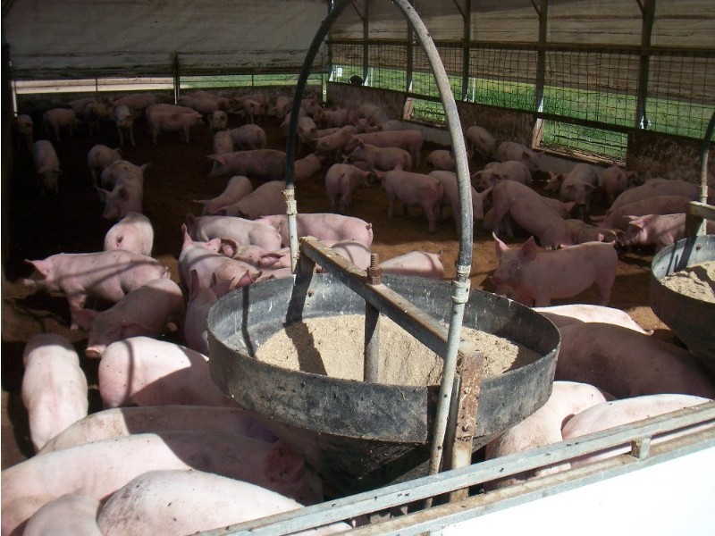 482 Turallin Road, Millmerran QLD 4357