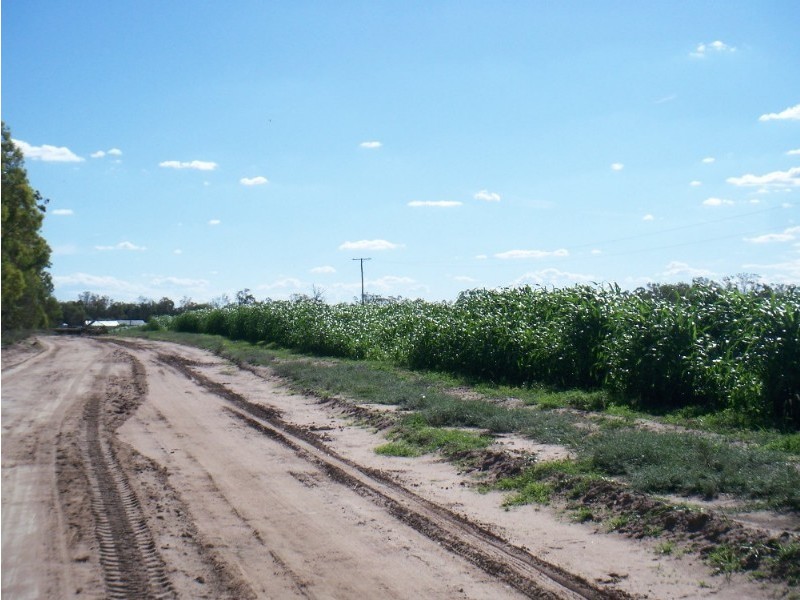 482 Turallin Road, Millmerran QLD 4357