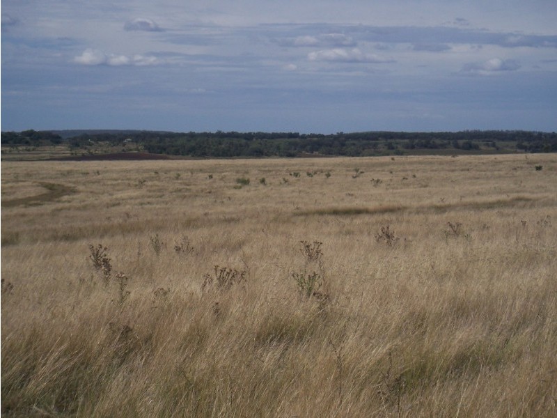 - Bells Road, Yarranlea QLD 4356