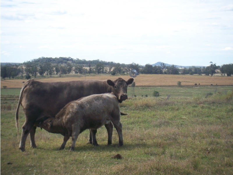 - Bells Road, Yarranlea QLD 4356