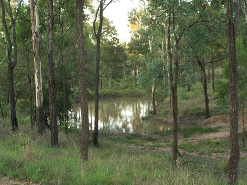 103 Connoles Road, Postmans Ridge QLD 4352