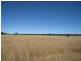 - North Dulacca Hall Road, Miles QLD 4415
