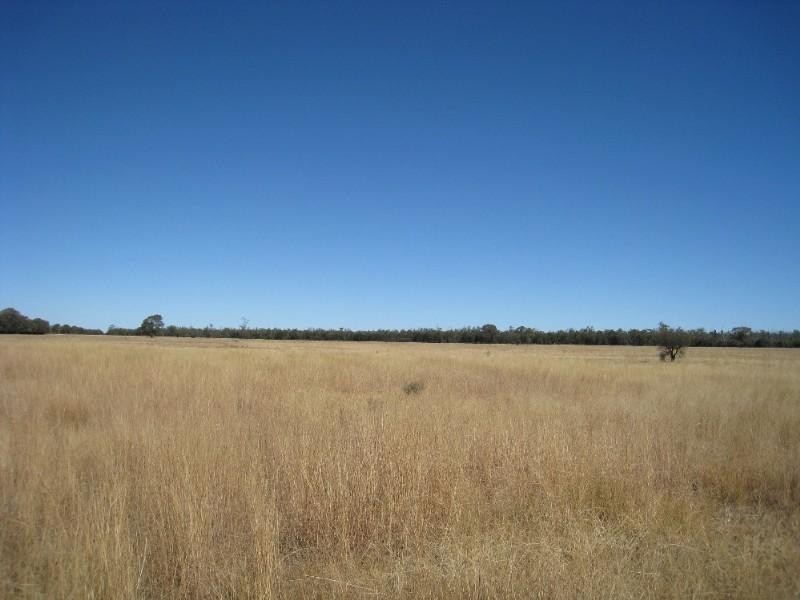- North Dulacca Hall Road, Miles QLD 4415