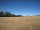 - North Dulacca Hall Road, Miles QLD 4415