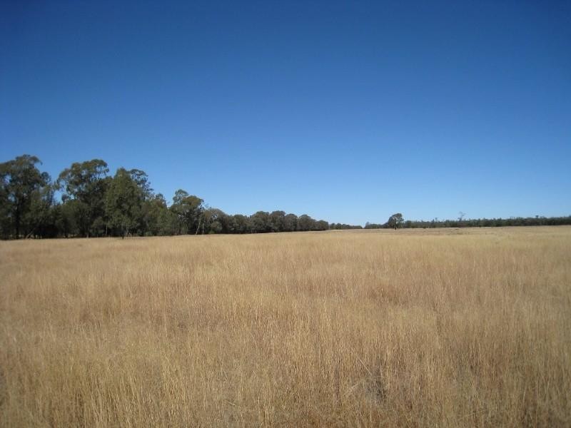 - North Dulacca Hall Road, Miles QLD 4415