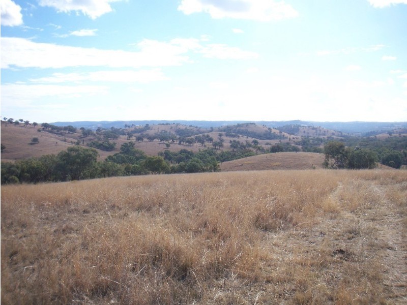 - Springdale Road, Stanthorpe QLD 4380