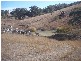 - Springdale Road, Stanthorpe QLD 4380