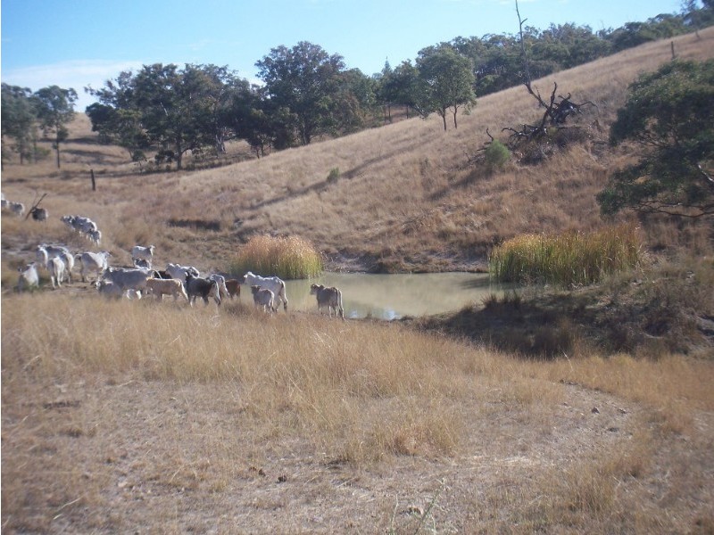 - Springdale Road, Stanthorpe QLD 4380