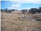 - Springdale Road, Stanthorpe QLD 4380