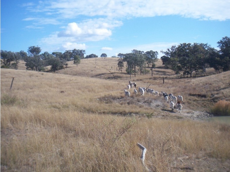 - Springdale Road, Stanthorpe QLD 4380