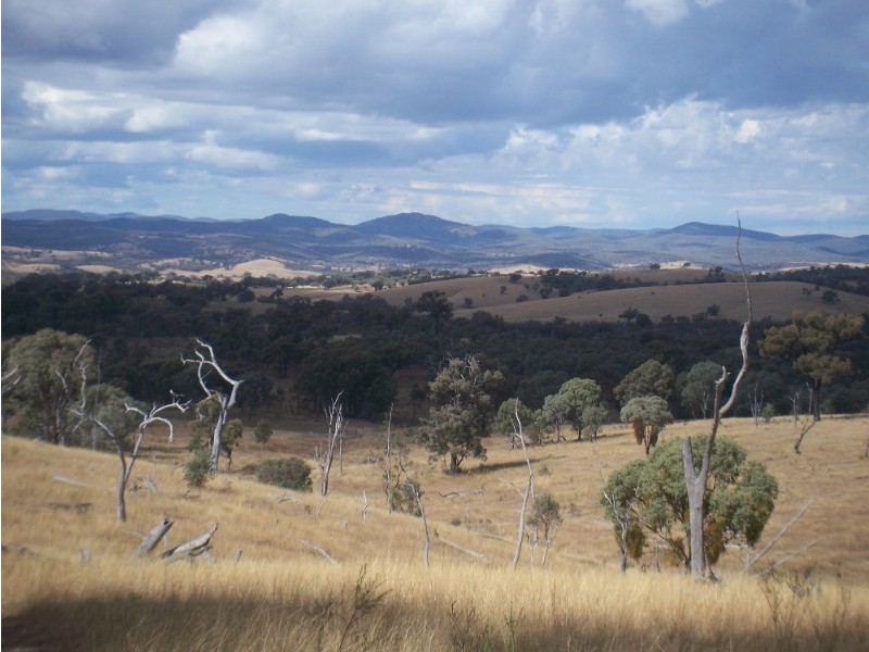 4218 Texas Road, Stanthorpe QLD 4380