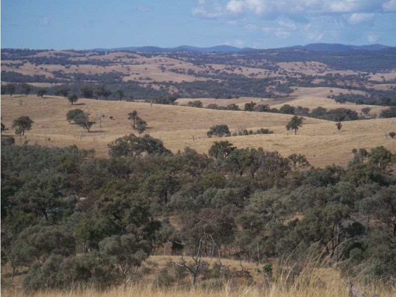 4218 Texas Road, Stanthorpe QLD 4380