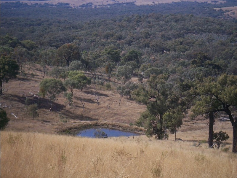 4218 Texas Road, Stanthorpe QLD 4380