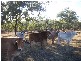 L1 & 2 Saddletop Road, Upper Pilton QLD 4361