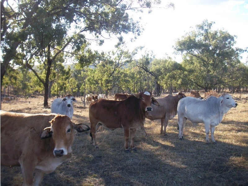 L1 & 2 Saddletop Road, Upper Pilton QLD 4361