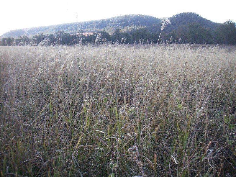 L1 & 2 Saddletop Road, Upper Pilton QLD 4361