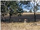 L1 & 2 Saddletop Road, Upper Pilton QLD 4361