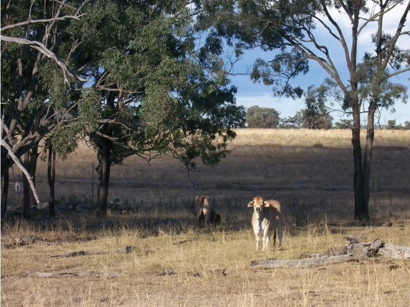 L1 & 2 Saddletop Road, Upper Pilton QLD 4361