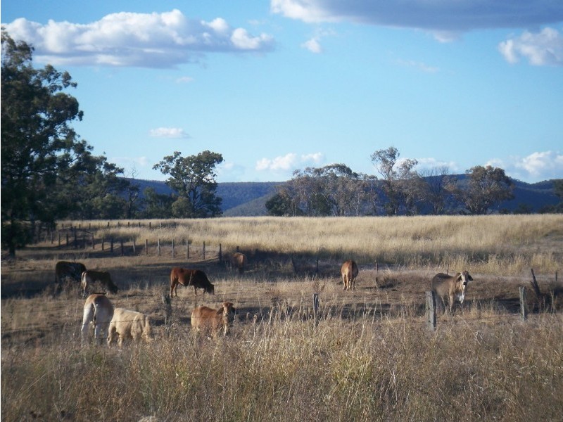 L1 & 2 Saddletop Road, Upper Pilton QLD 4361