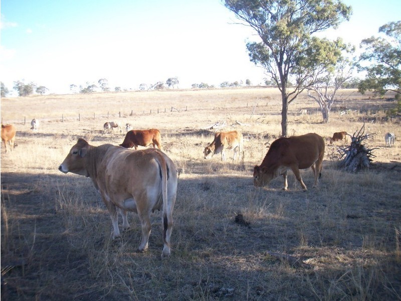 L1 & 2 Saddletop Road, Upper Pilton QLD 4361