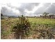 8 Andrews Court, Hodgson Vale QLD 4352