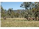 331 Hell Hole Creek Road, Preston QLD 4352
