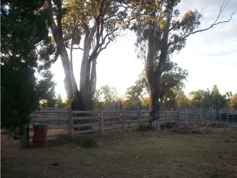 449 Bonnie Doon Road, Leyburn QLD 4365