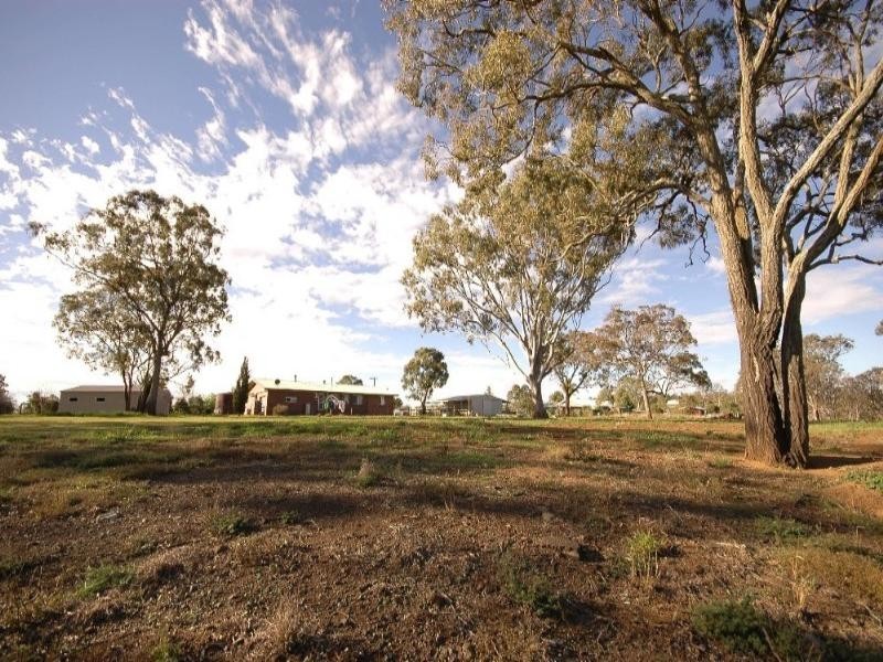 6 Charlton Pinch Road, Torrington QLD 4350