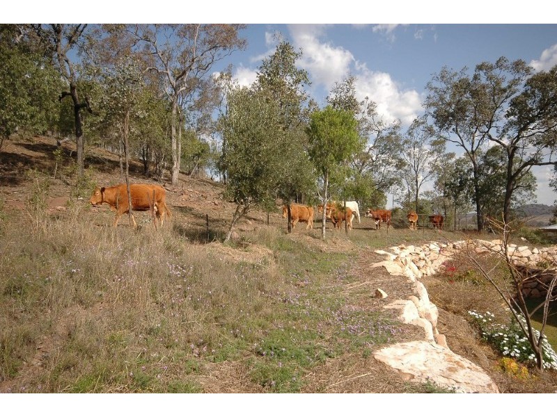 317 Beauaraba Road, Toowoomba QLD 4350