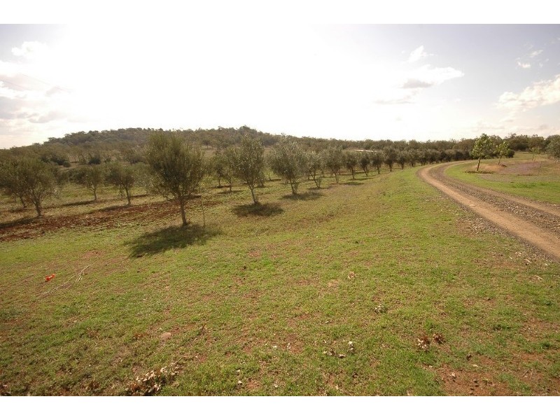 317 Beauaraba Road, Toowoomba QLD 4350