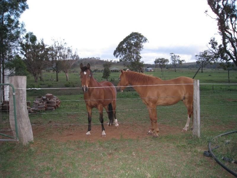 504 Groomsville Plainby Road, Crows Nest QLD 4355