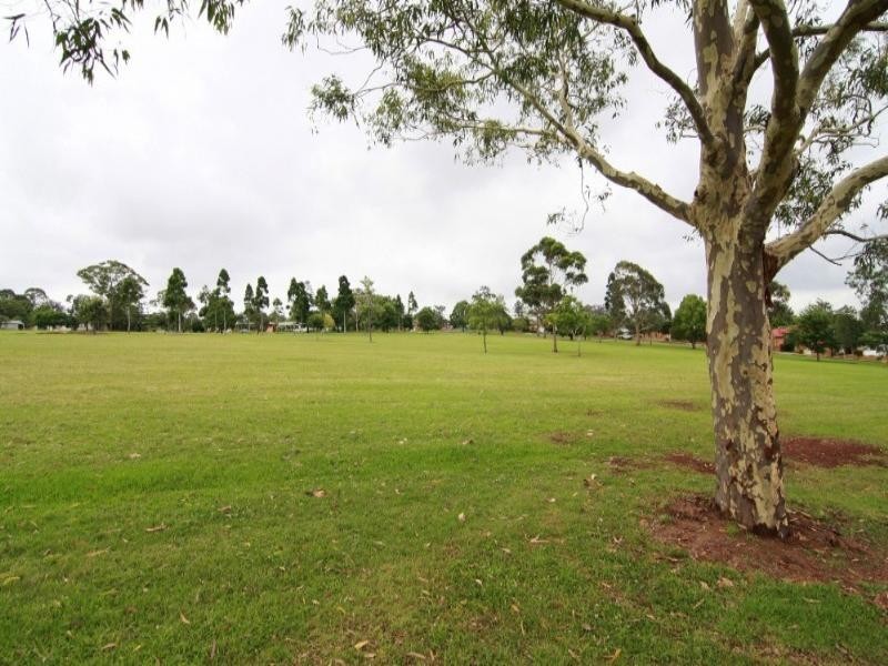 10 Diosma Street, Centenary Heights QLD 4350