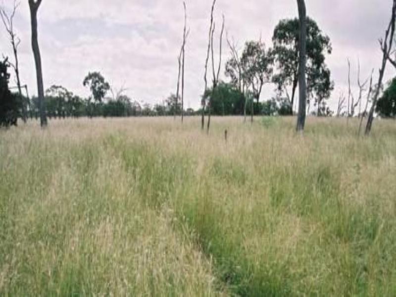 Kingaroy QLD 4610