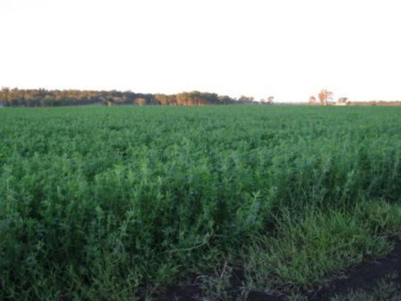 Kingaroy QLD 4610