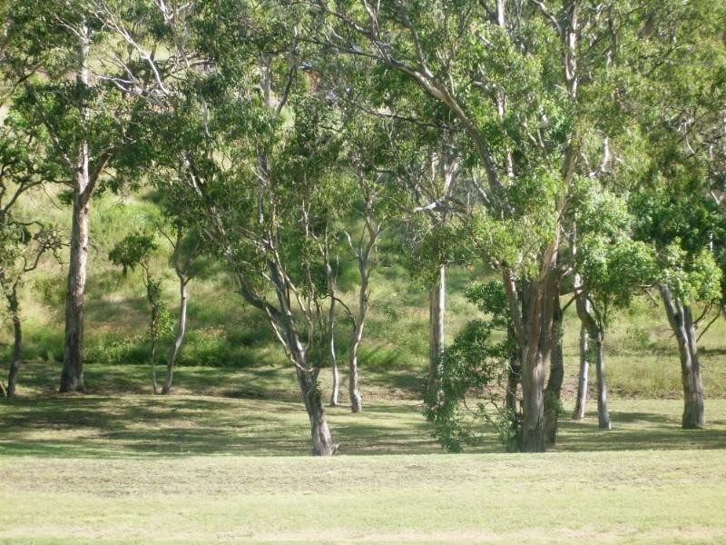 94 Geddes Road, Top Camp QLD 4350