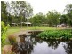74 Wandin Road, Withcott QLD 4352